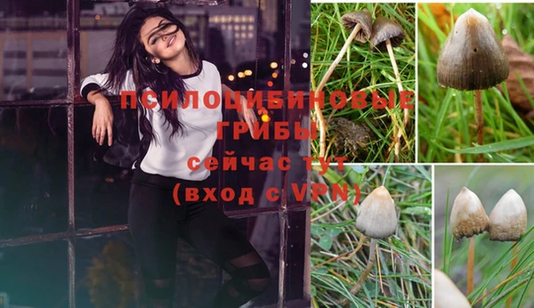 прущий лед Богородицк