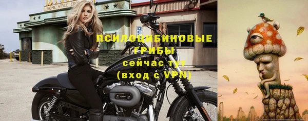 кокс Богданович