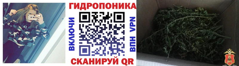 Шишки марихуана марихуана  цена   Каменск-Уральский 